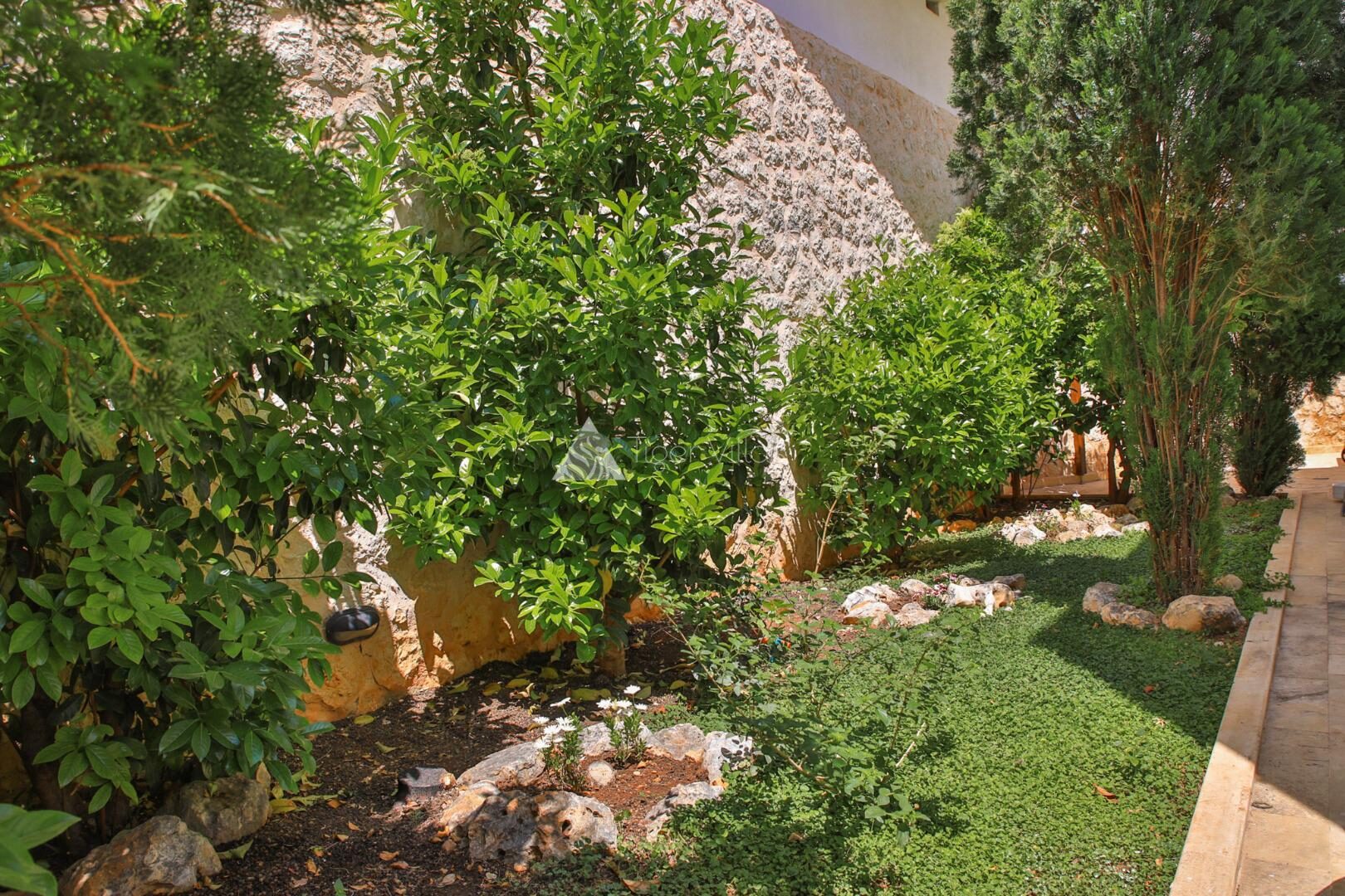 Villa Serta — 12