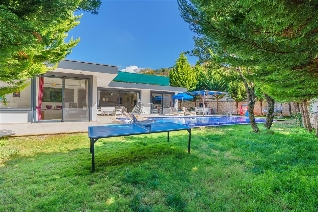 Villa Saha — 1