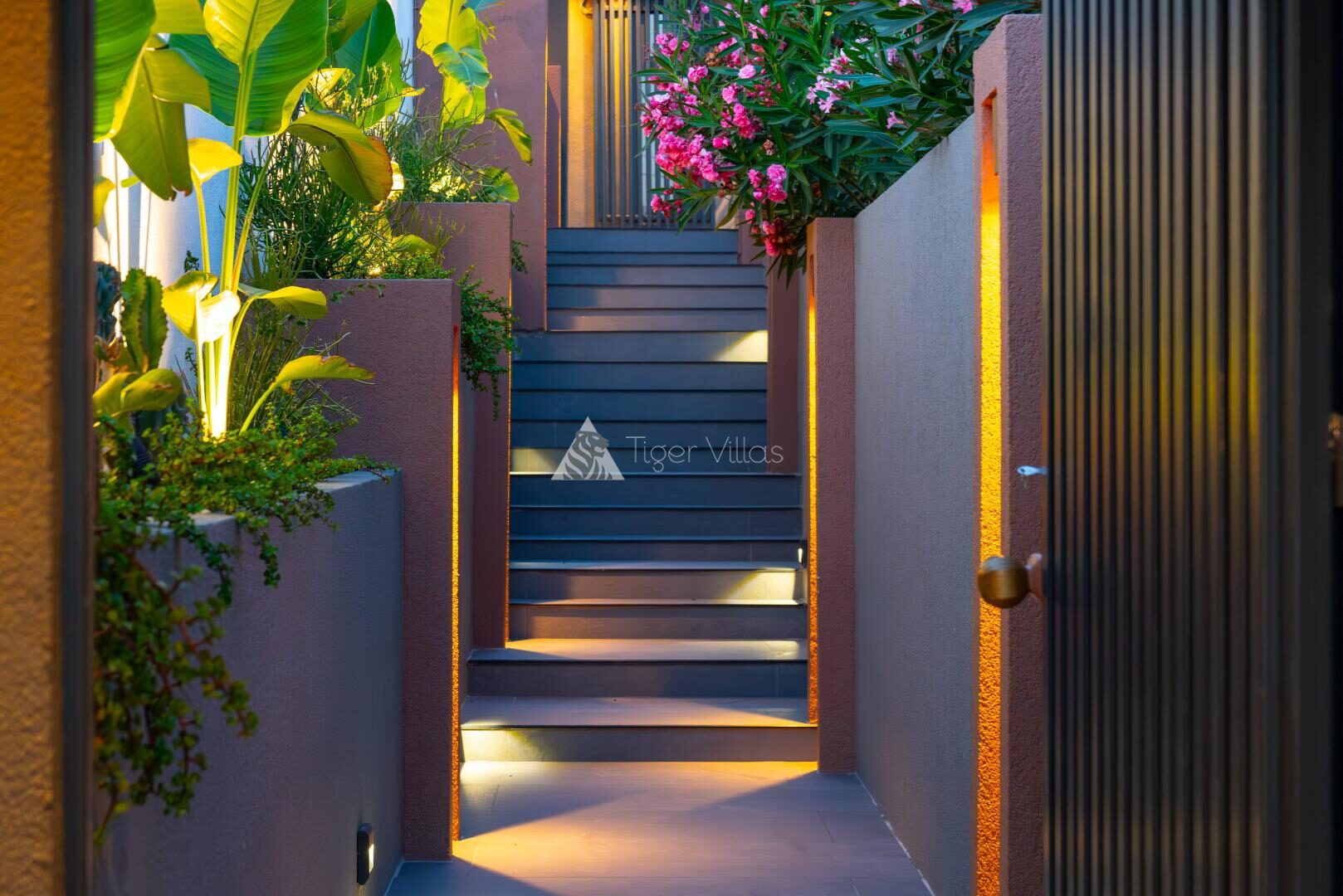 Villa Nova — 8