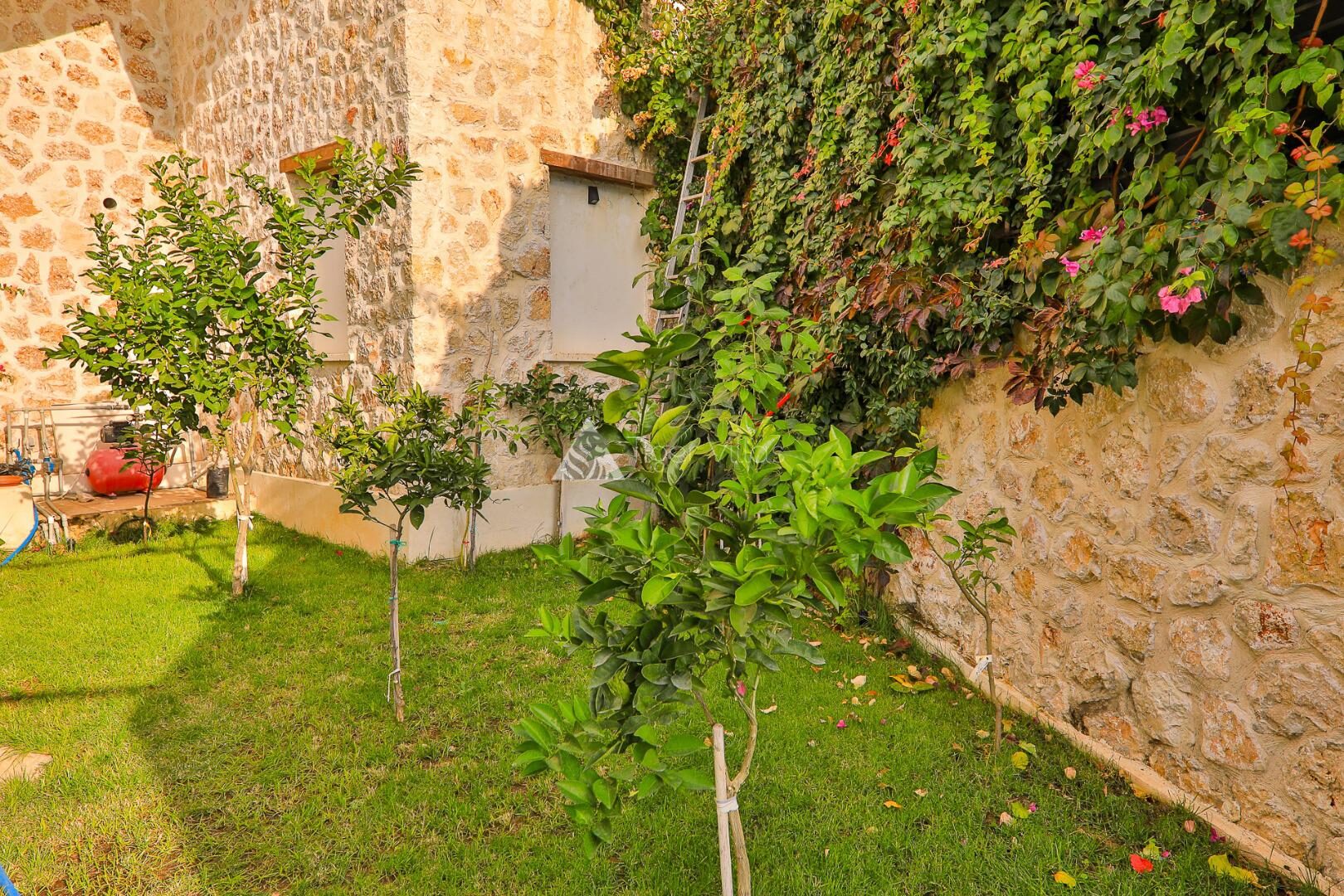 Villa Maysa – villa for rent in Kızıltaş