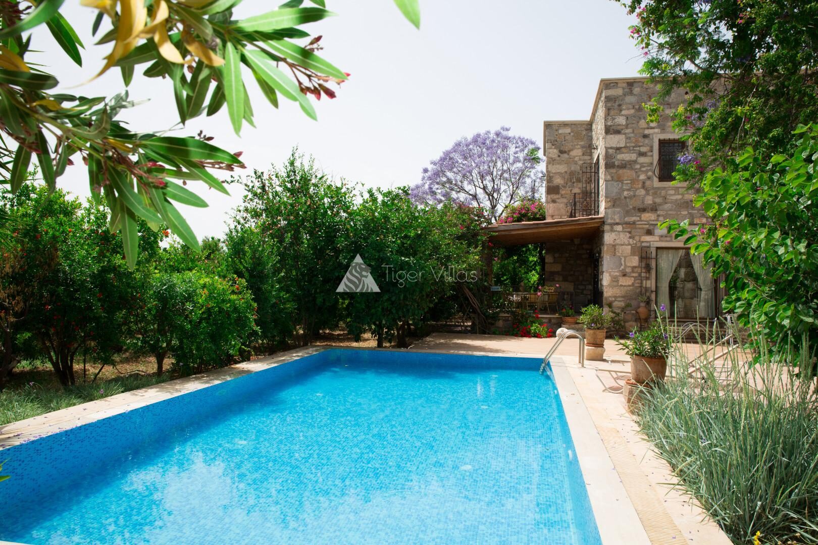 Villa Garden 468 — 1