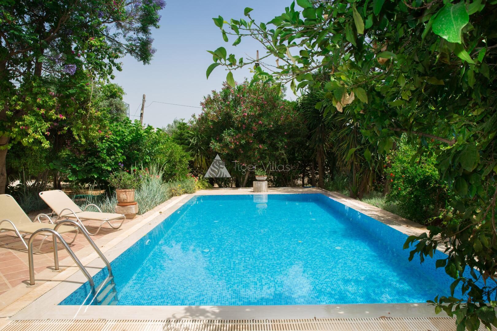 Villa Garden 468 — 3