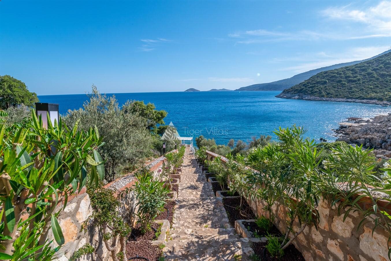 Villa Elana 1 — 50
