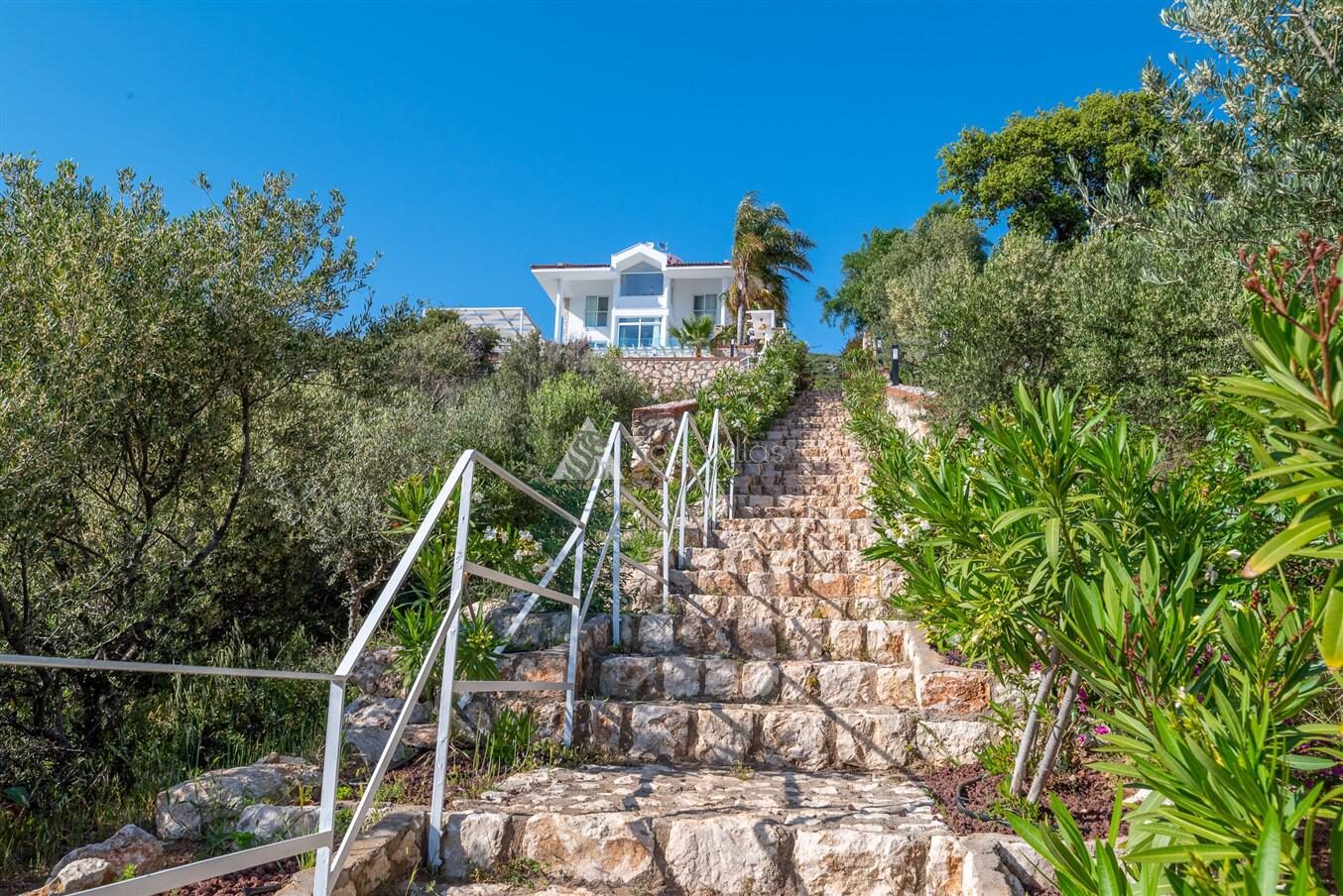 Villa Elana 1 — 68