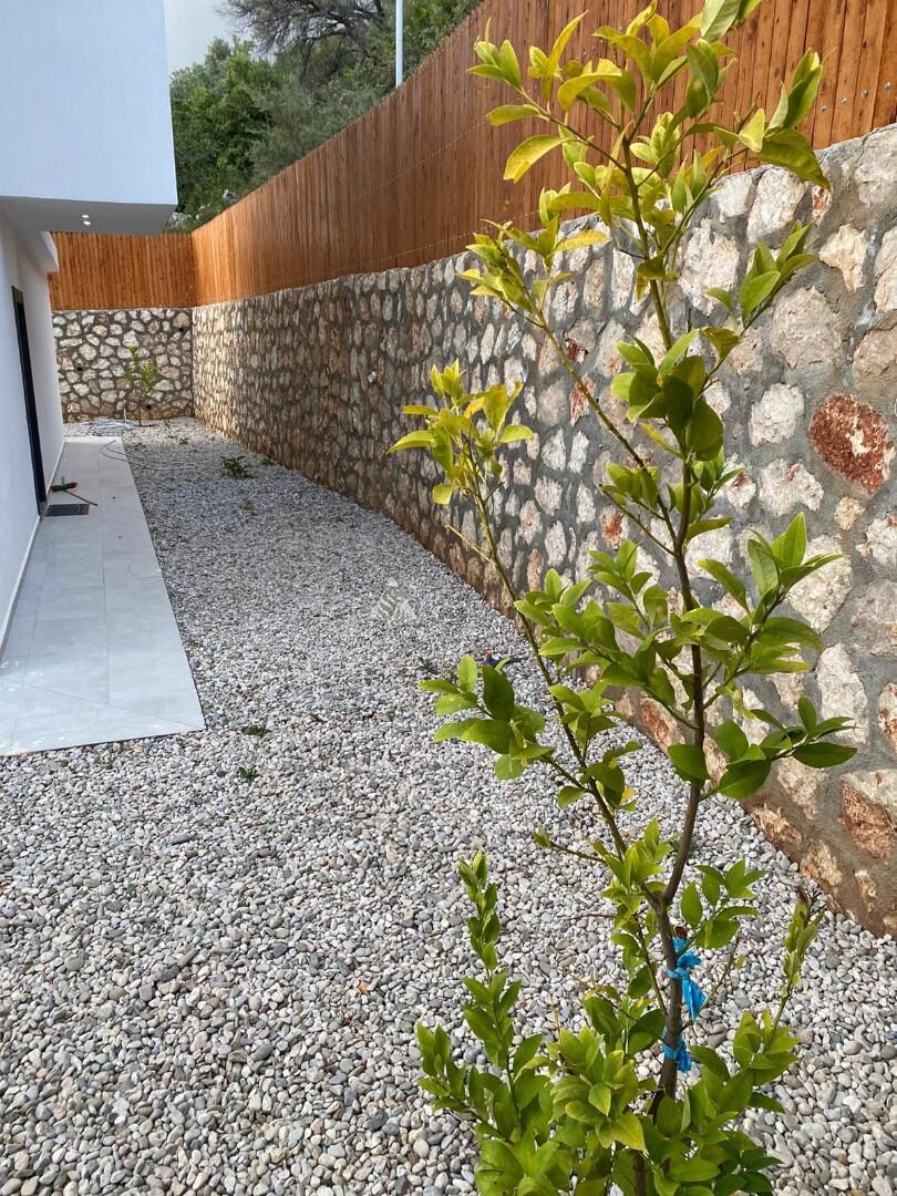 Villa Mustang — 53