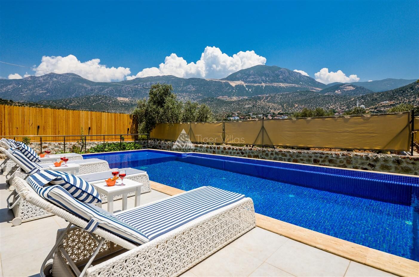 Villa Black Rose — 46