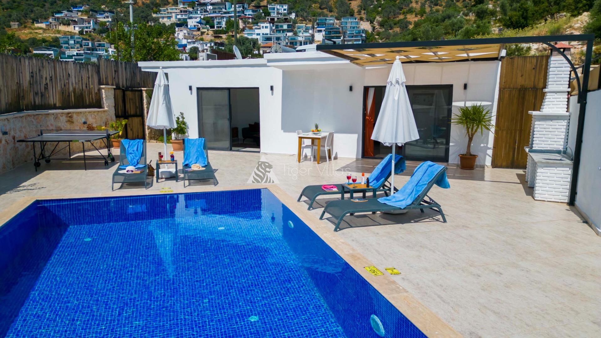 Villa Cengizhan Sarnıç — 41