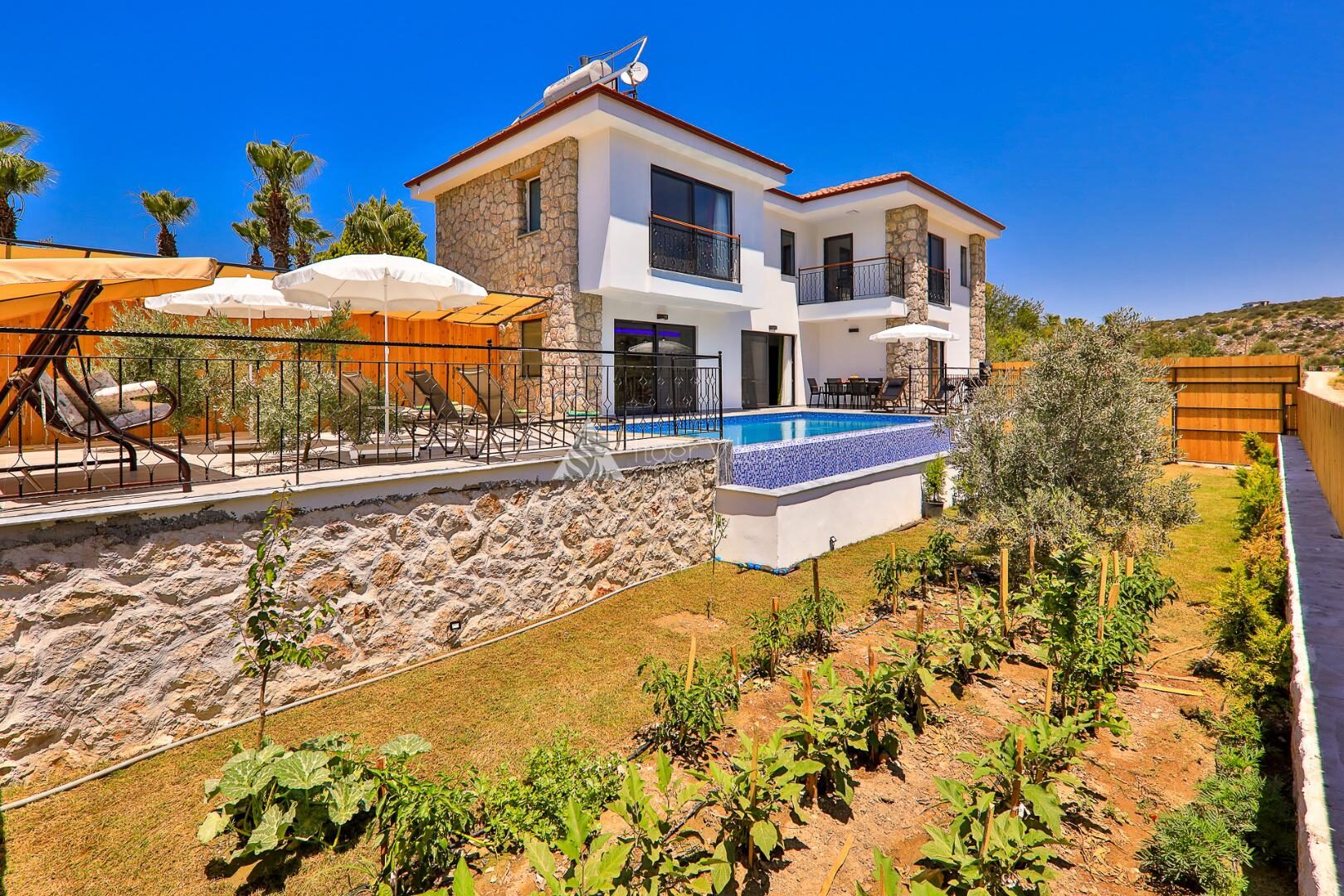 Villa Delfin Green — 3