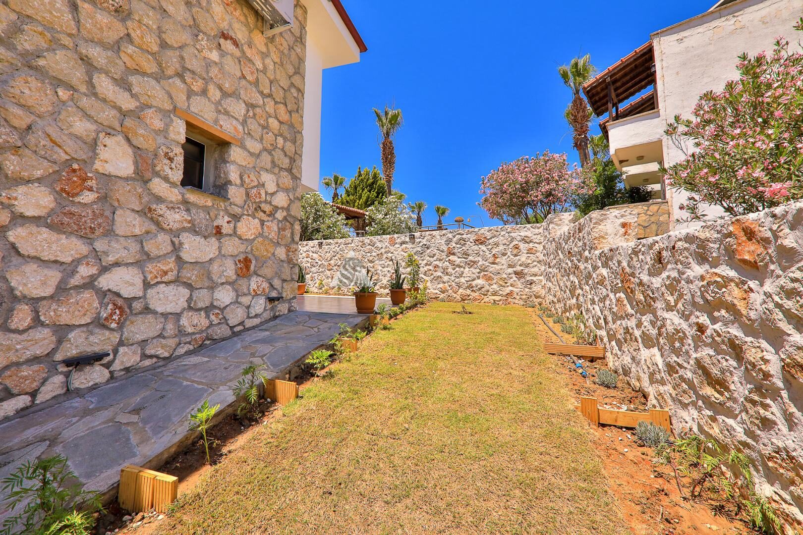 Villa Delfin Green — 49