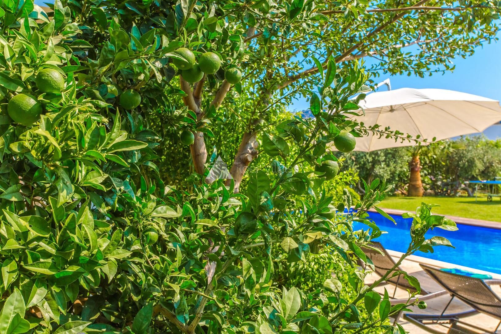 Villa Just – villa for rent in Kışla