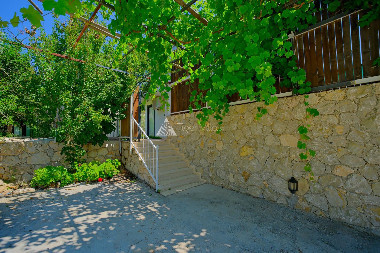 Villa Tepes — 85
