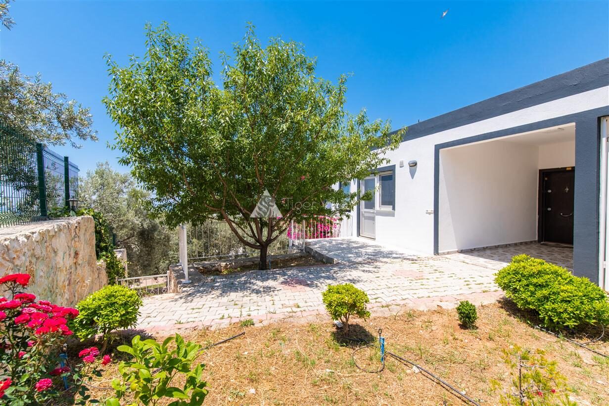 Villa Atlas — 66
