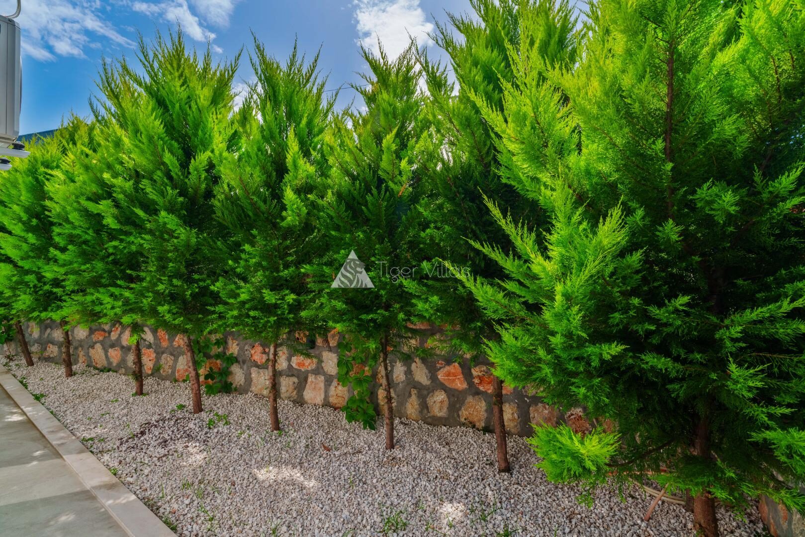 Villa Elena 1 — 37