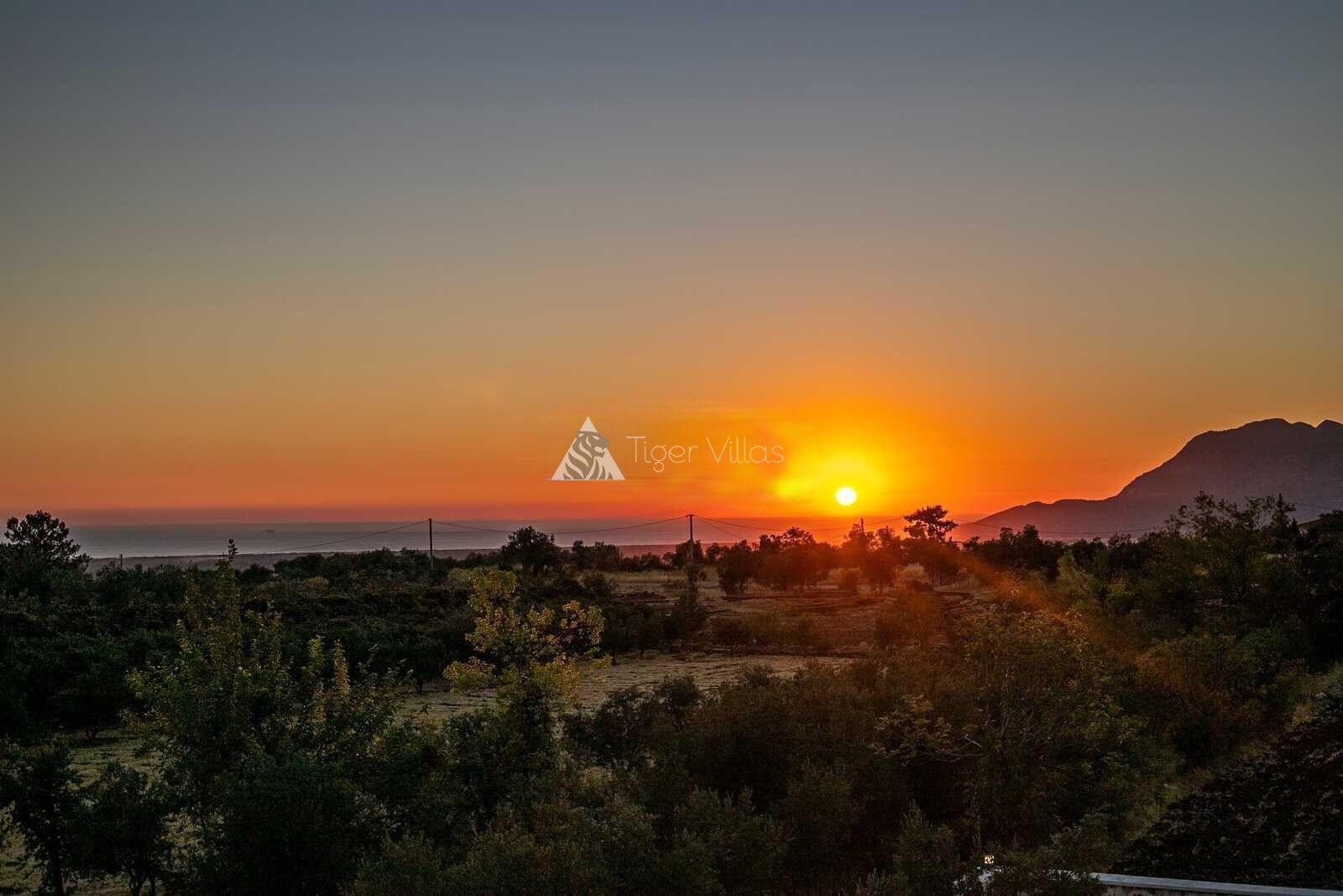 Villa Olivet – villa for rent in Üzümlü