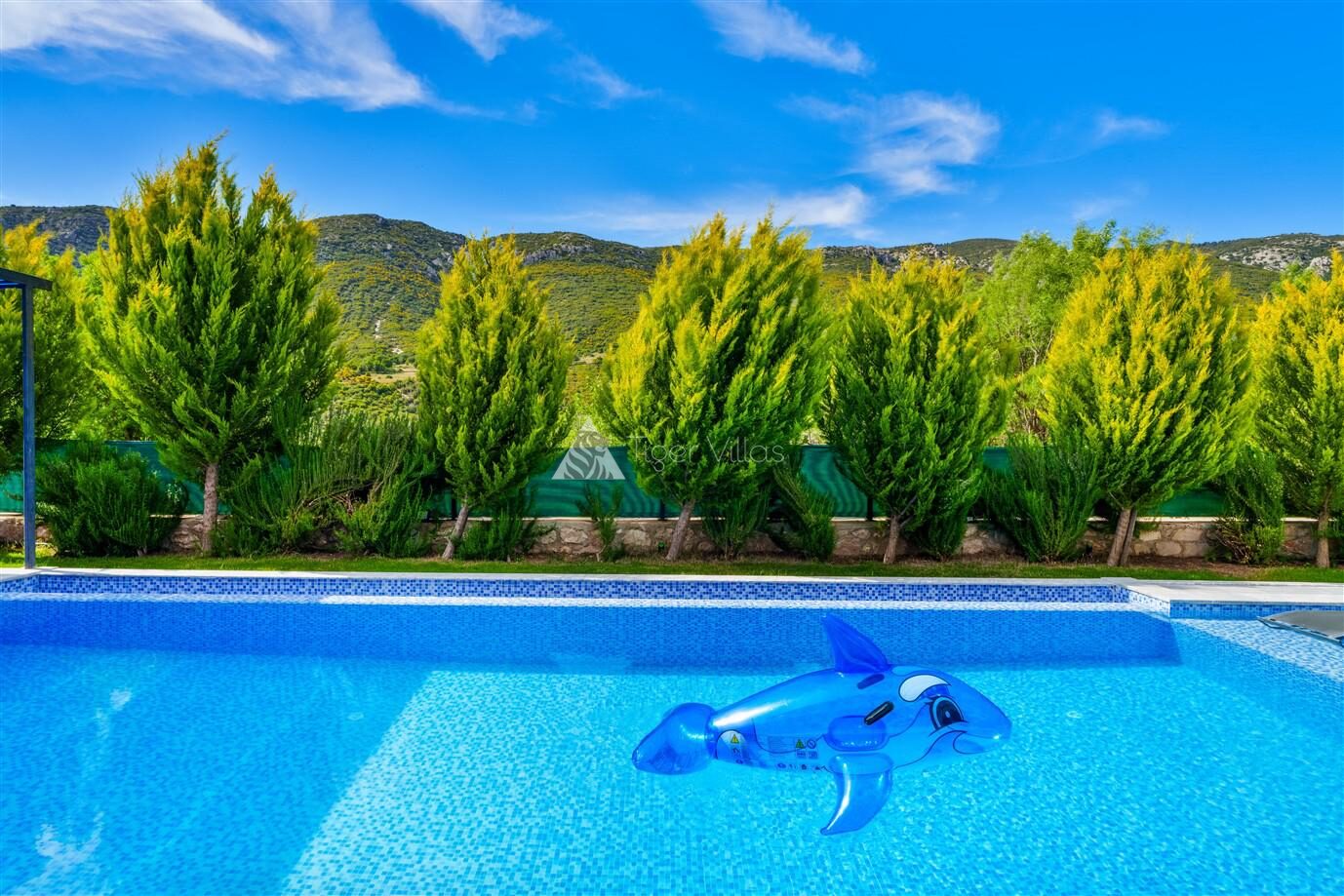 Villa Gold Sarıbelen — 11