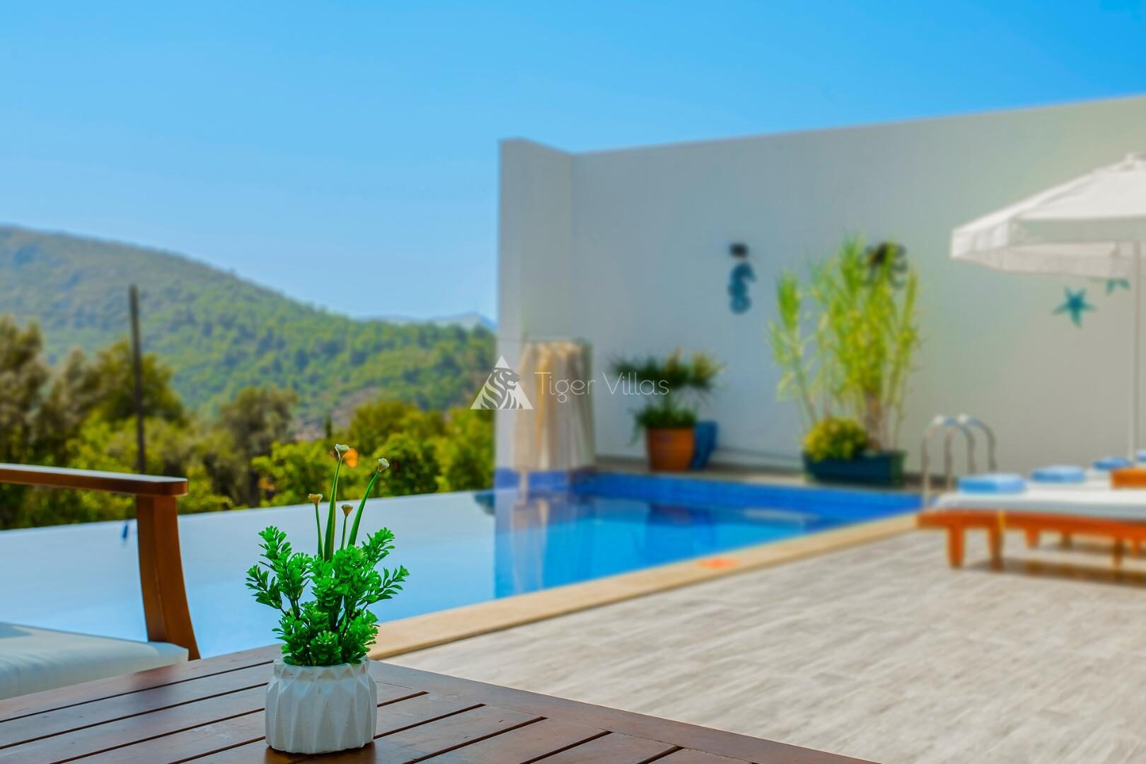 Villa Esra Üzümlü — 4