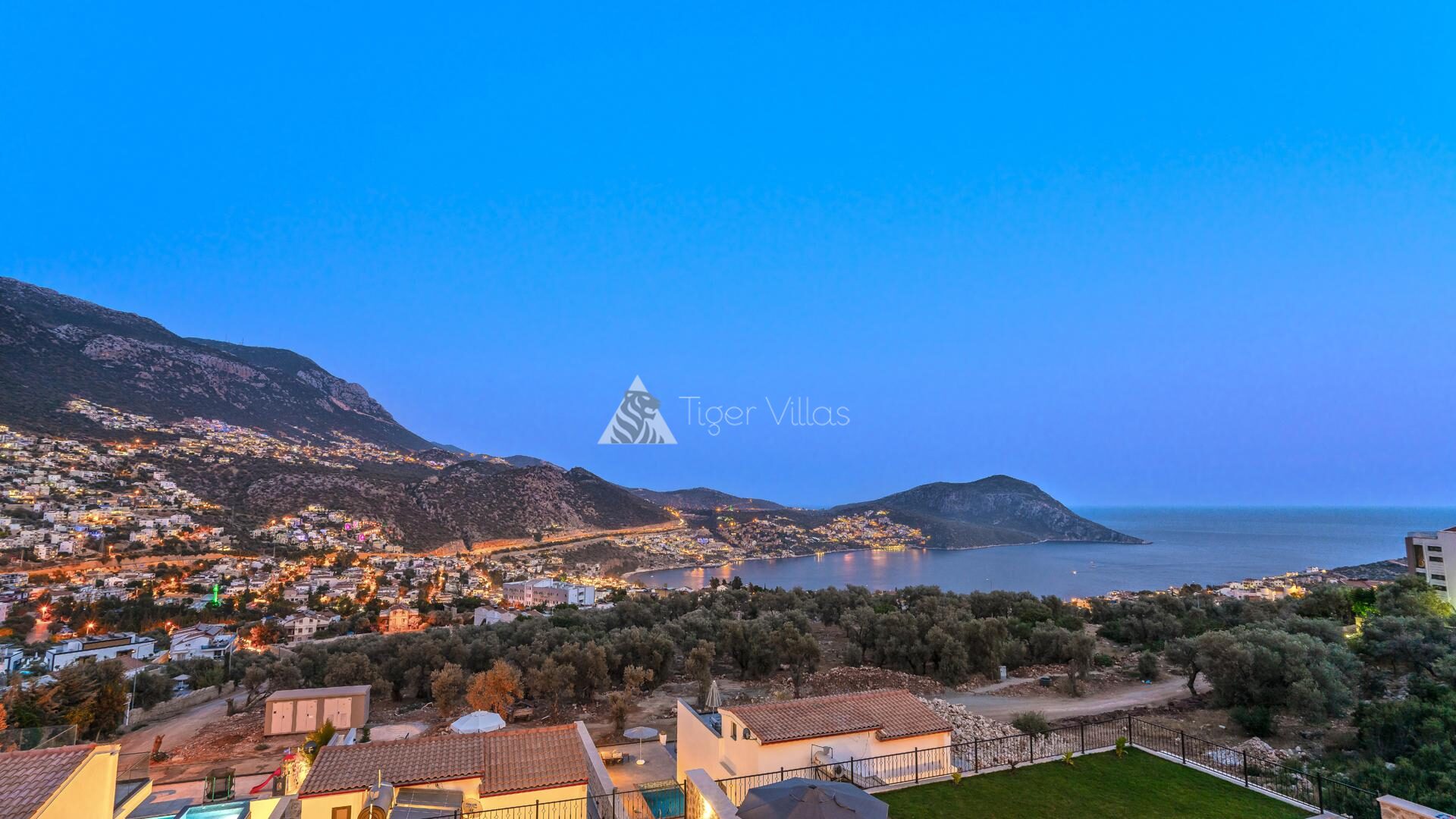 Villa Lion — 44
