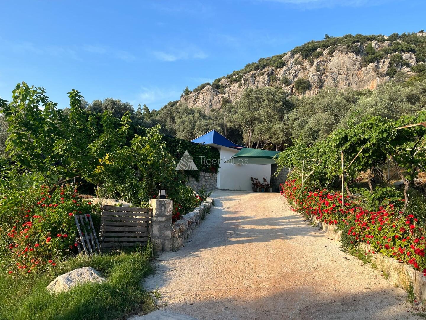Villa Yaşam — 64