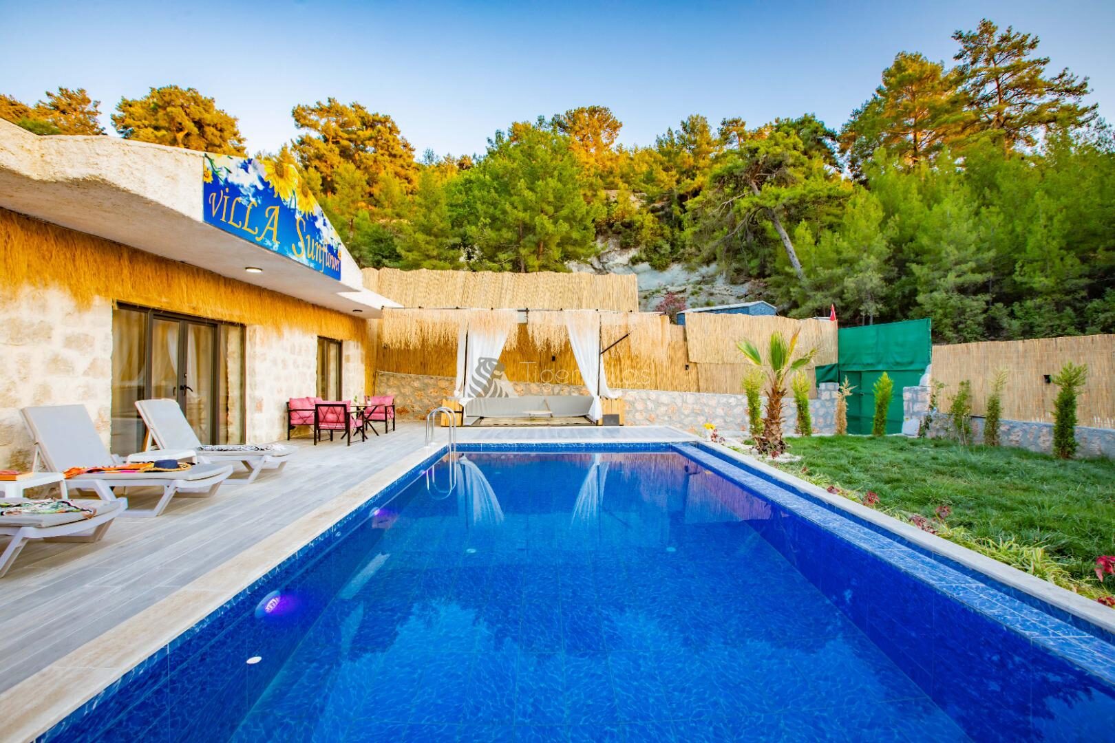 Villa Sunflower — 8