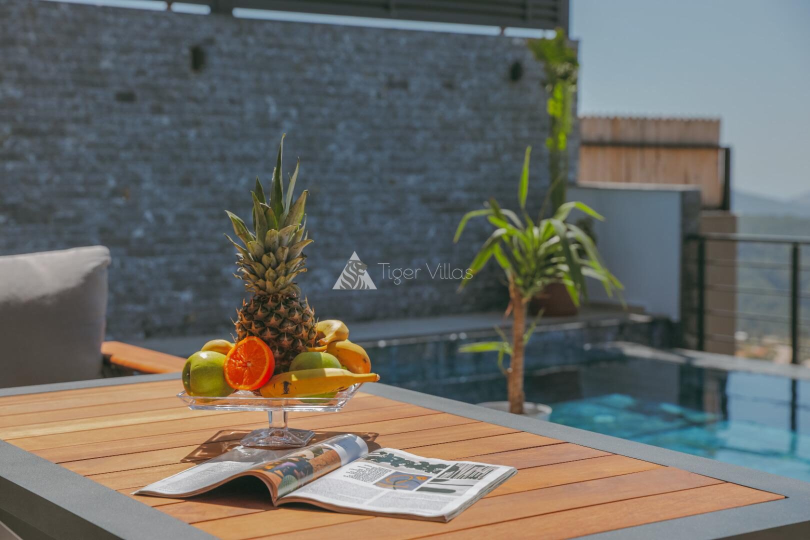 Villa Xanadu — 30