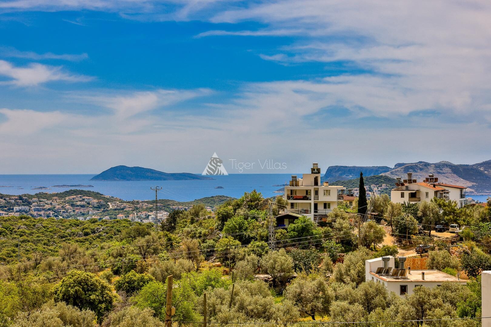 Villa Albedo Blue — 19