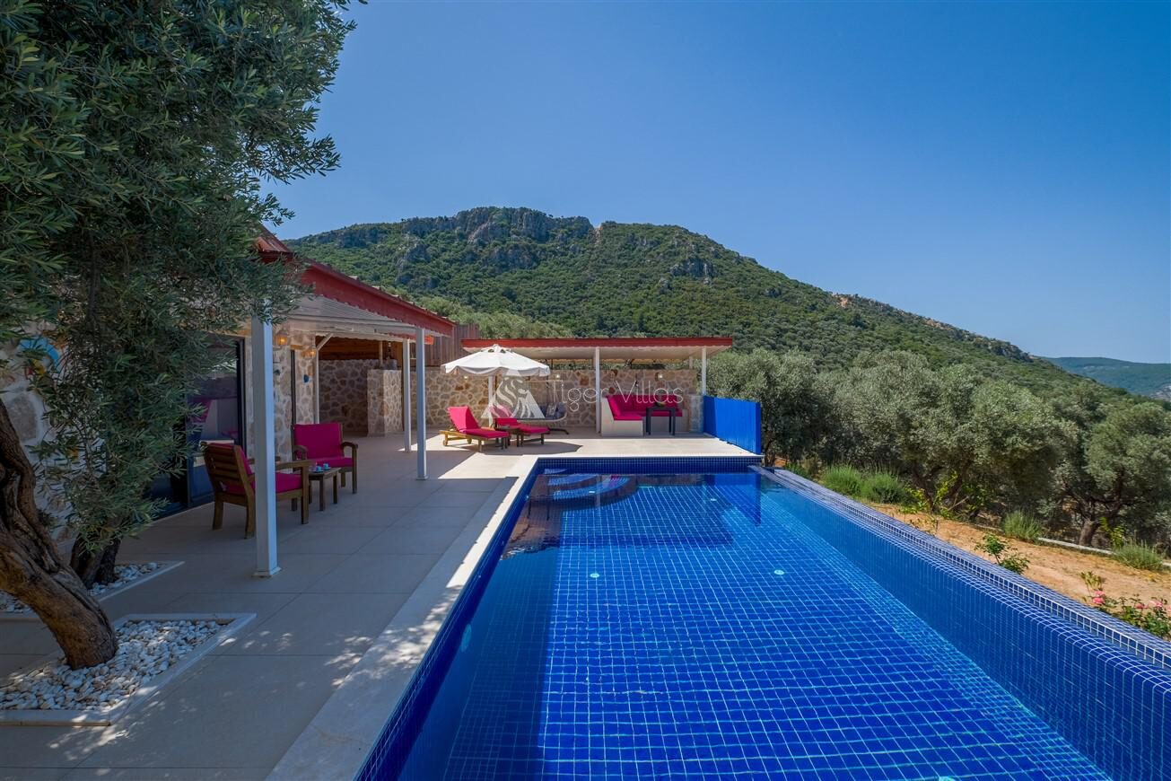Villa Dream 2 — 10