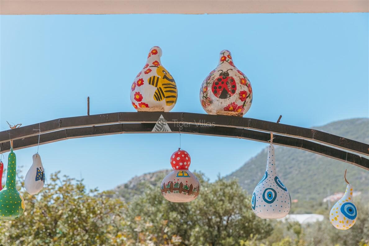 Villa Mercan Sısla — 63