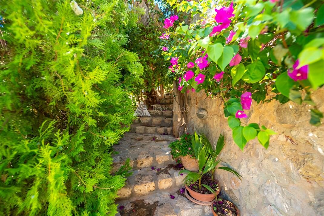 Villa Melisa 1 — 47