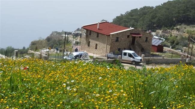Villa Cennet — 16