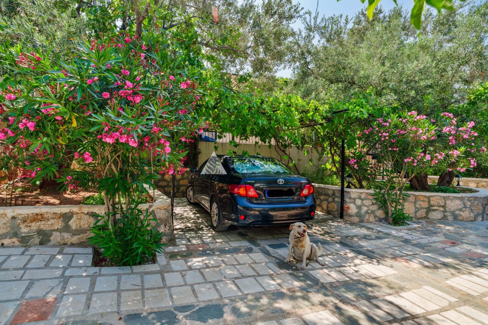Villa Samyeli — 18