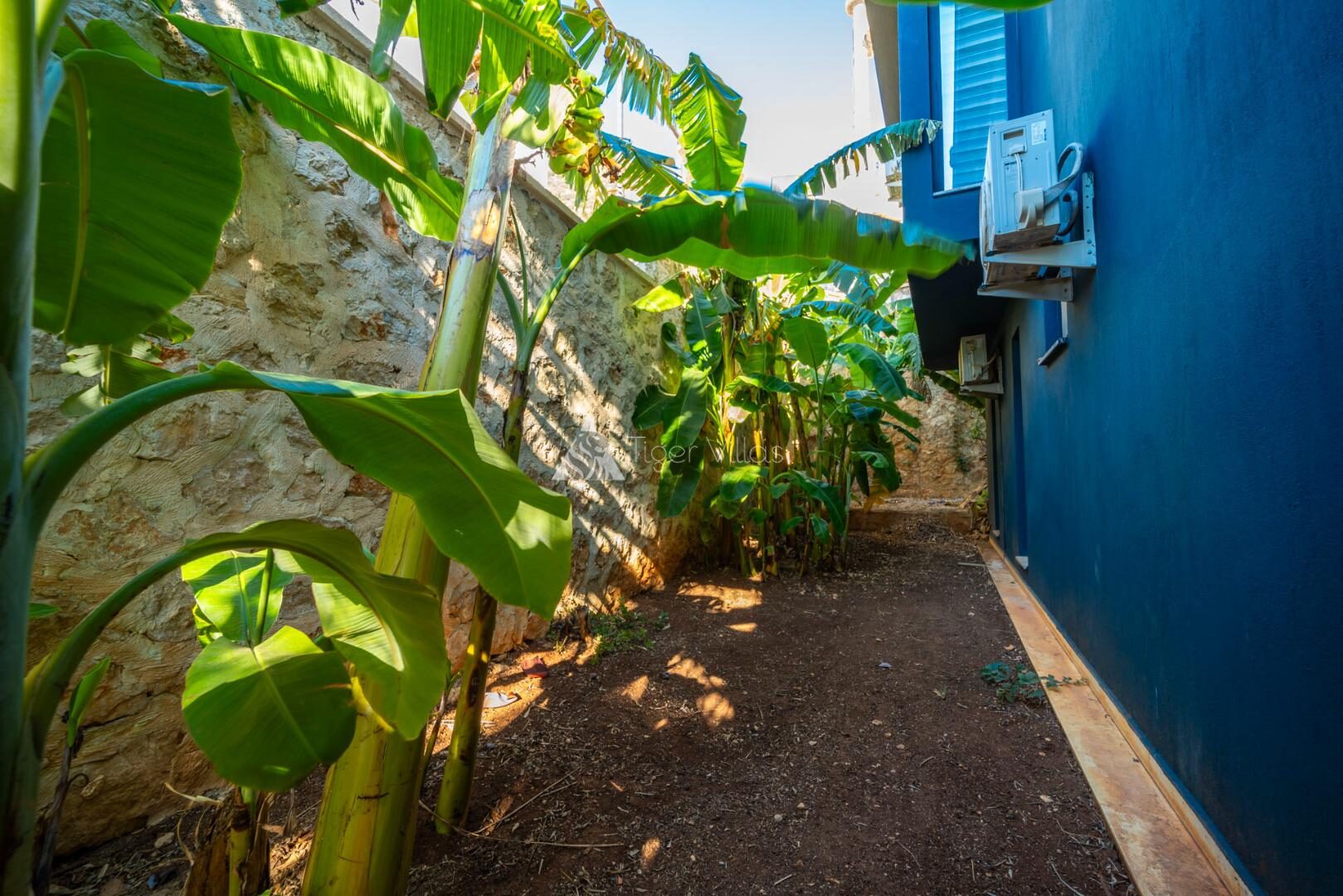 Villa Everest — 15