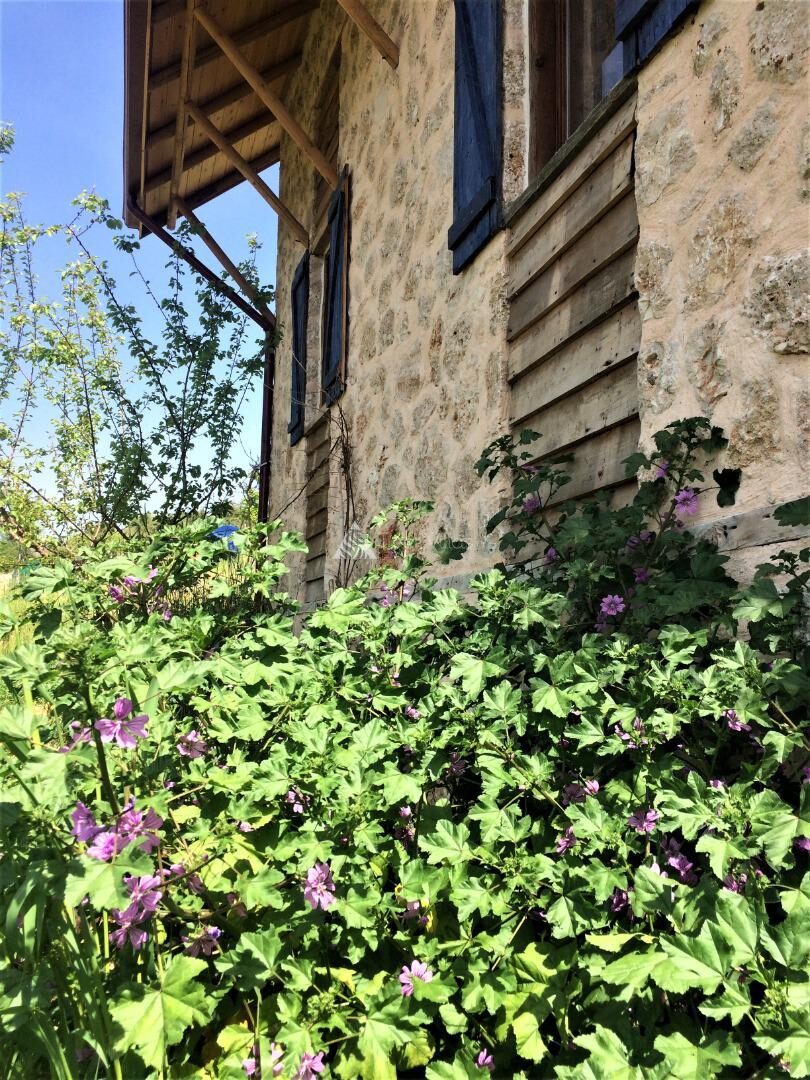Villa Ambar Ceviz — 17