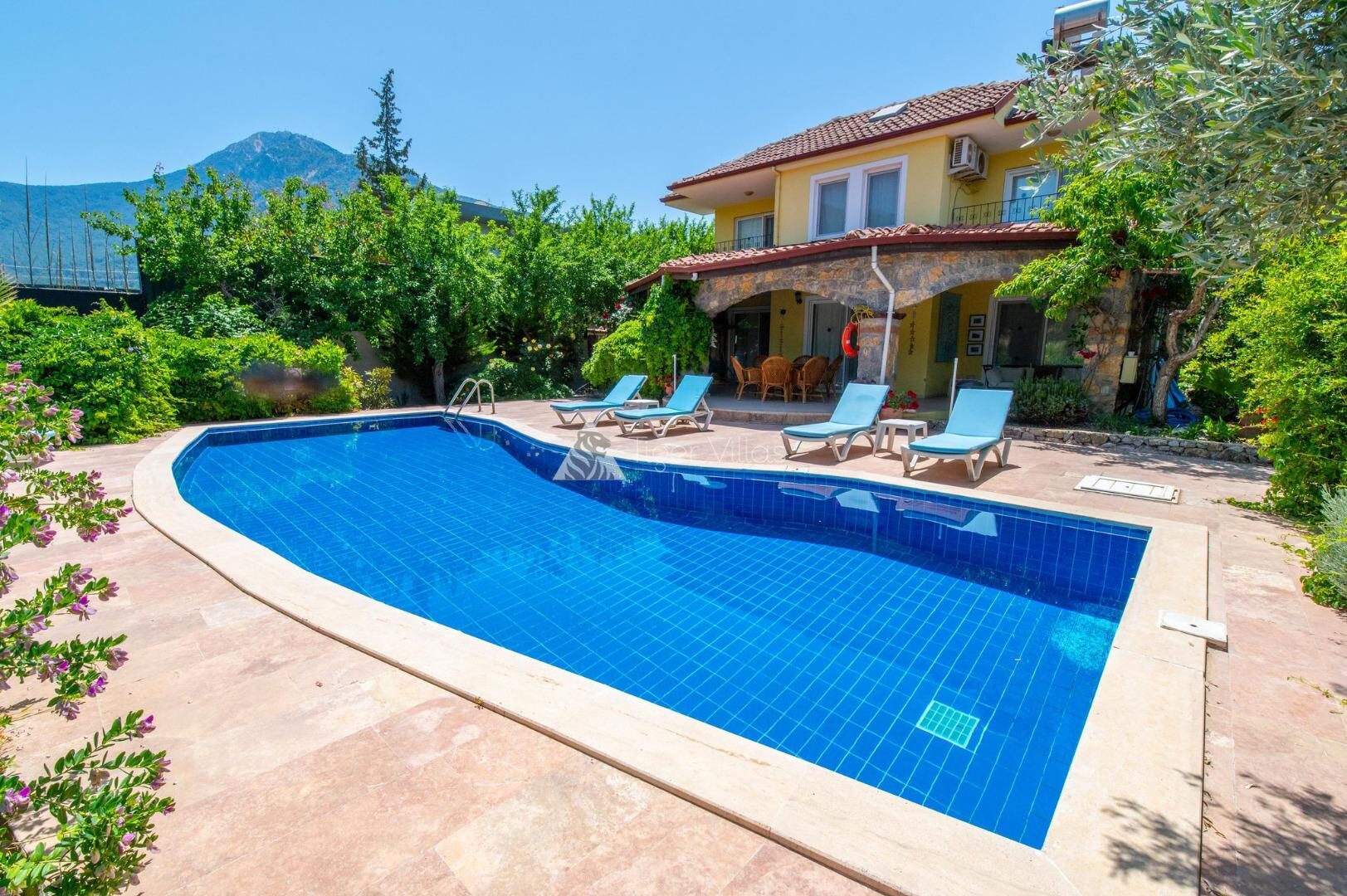 Villa Alora — 1
