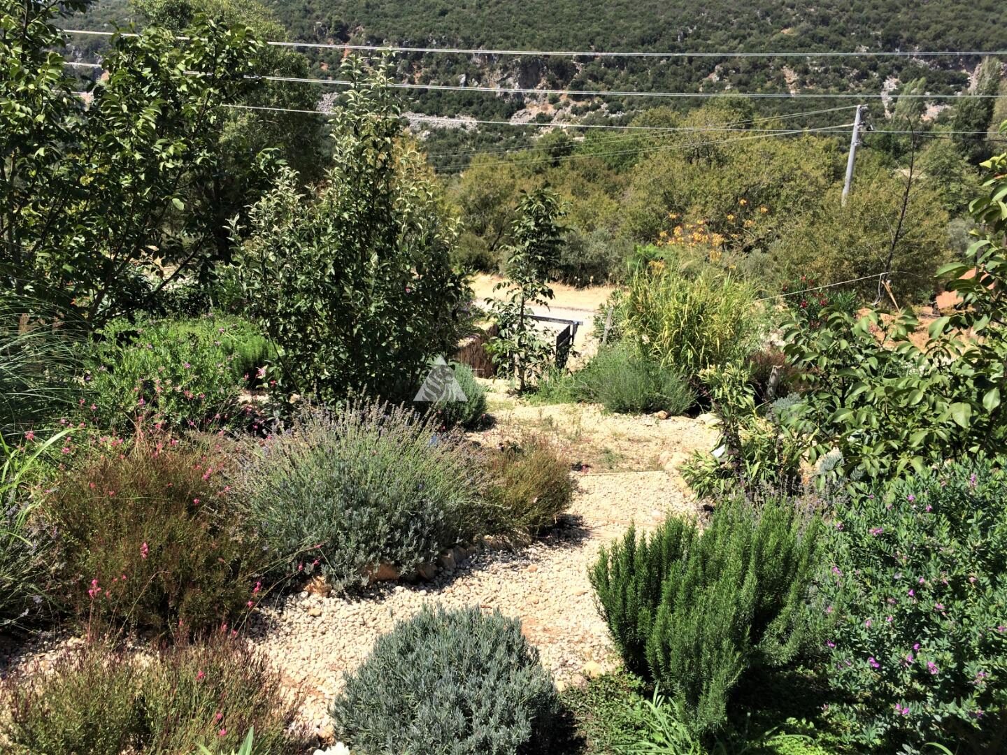 Villa Ambar Ceviz — 44