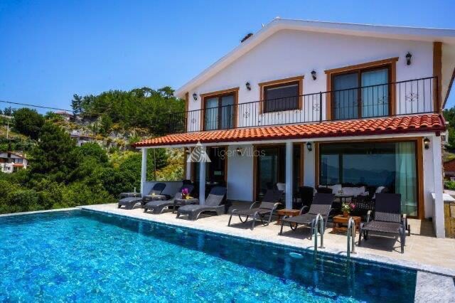 Villa Turtle Life — 1