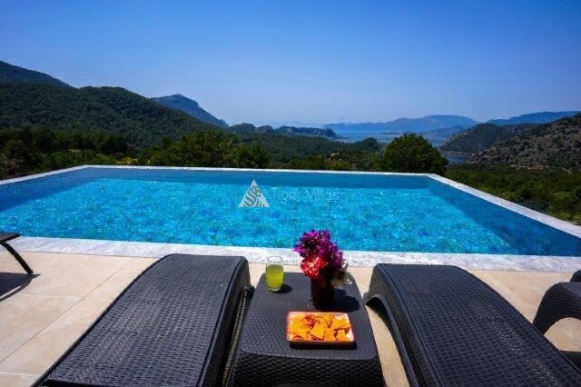 Villa Turtle Life — 2