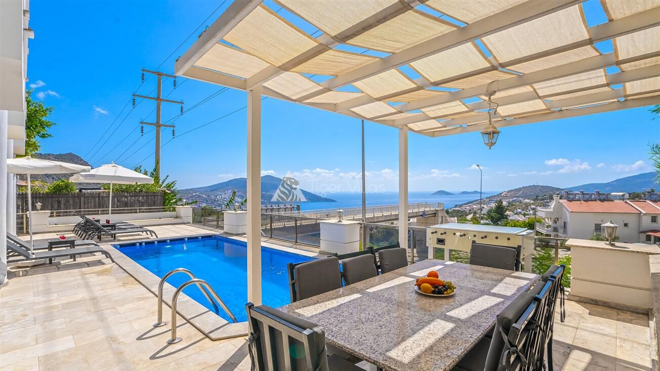Villa Palm — 16