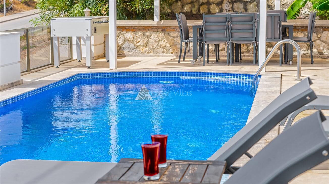 Villa Palm — 19