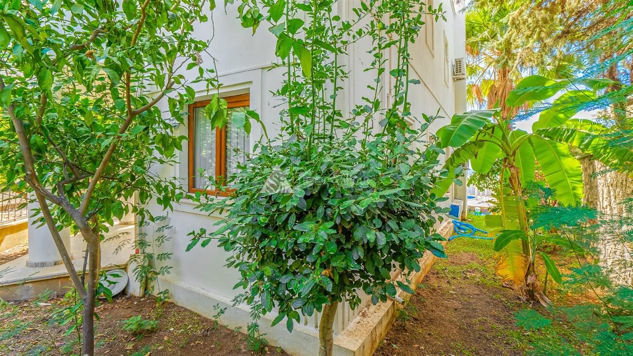 Villa Palm — 53