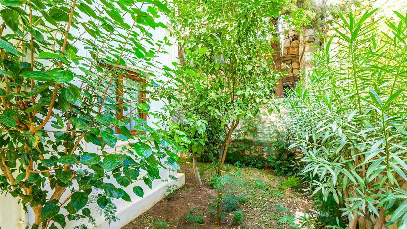 Villa Palm — 54