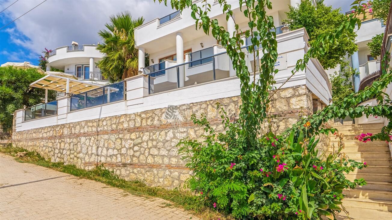 Villa Palm — 56