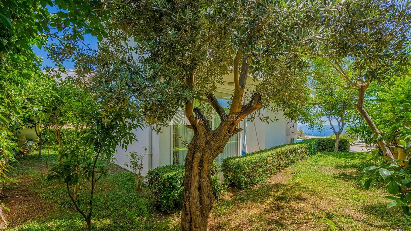 Villa Al Nuzha — 30