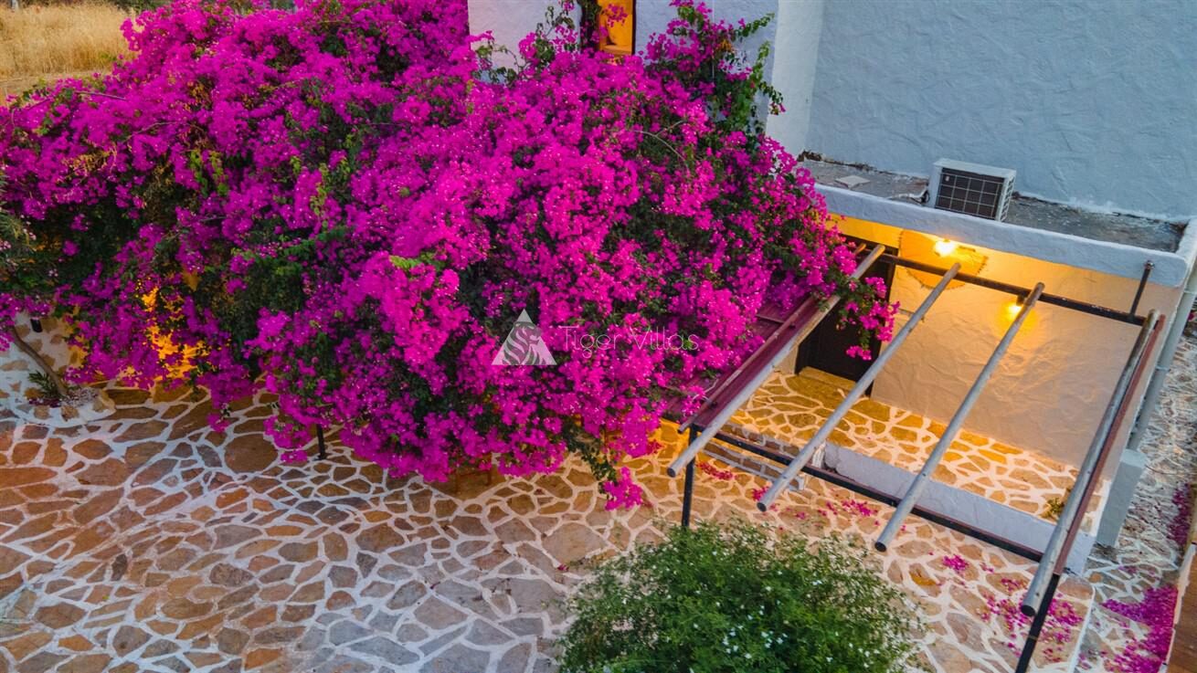 Villa Canan Patara — 78