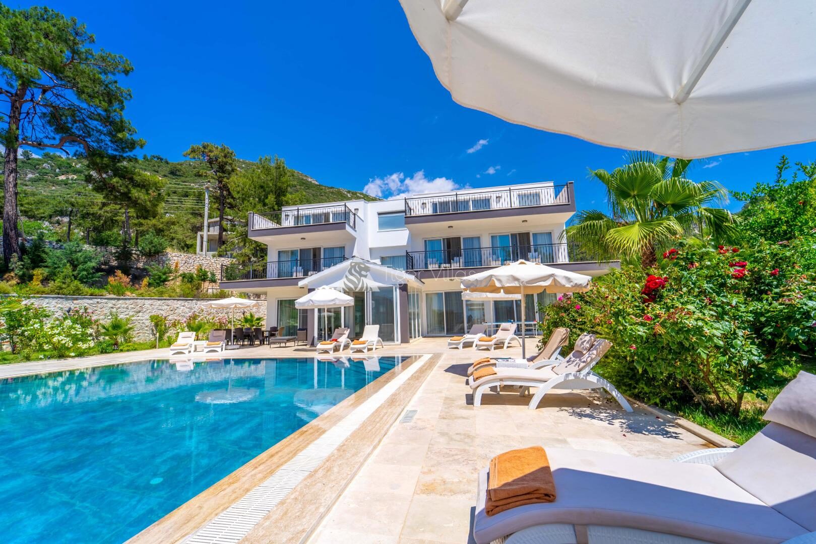 Villa Serenity — 22