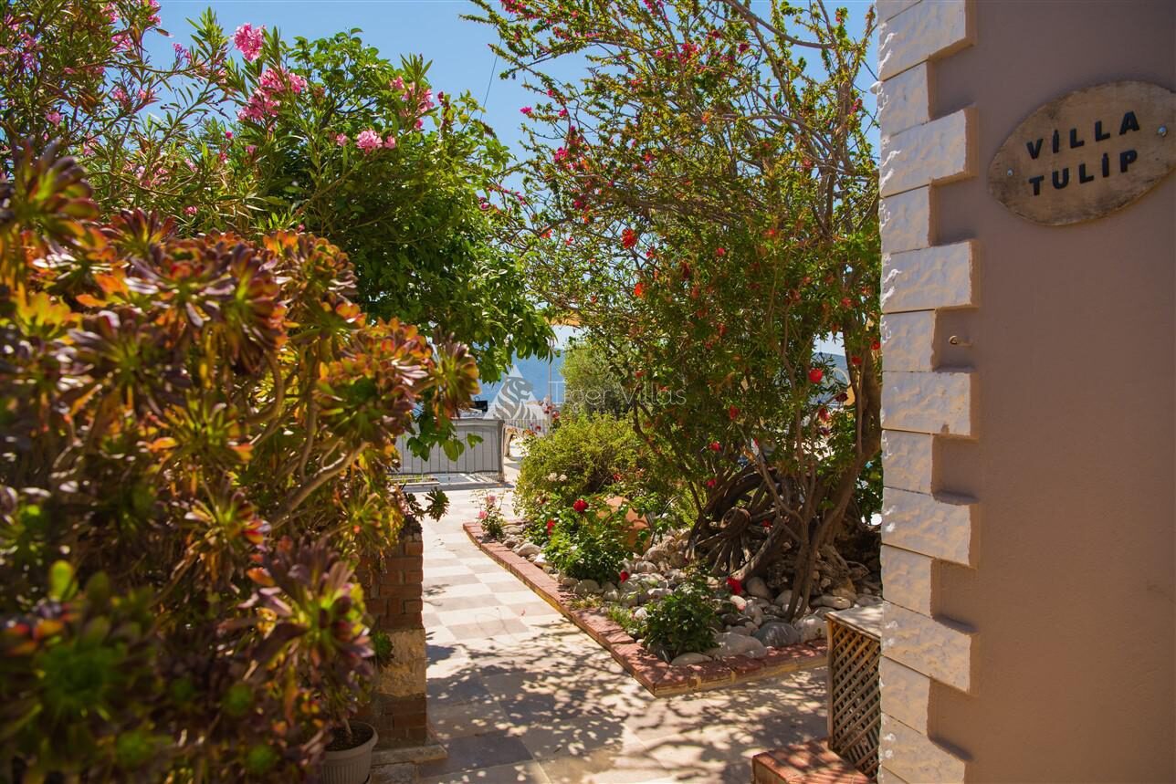 Villa Tulip — 62