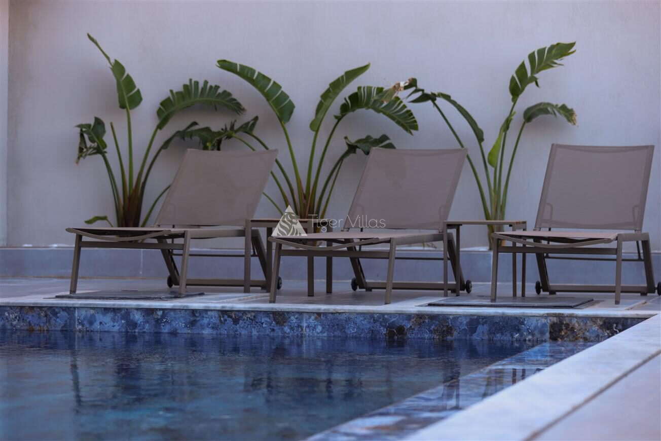 Villa Albatros 1 — 36