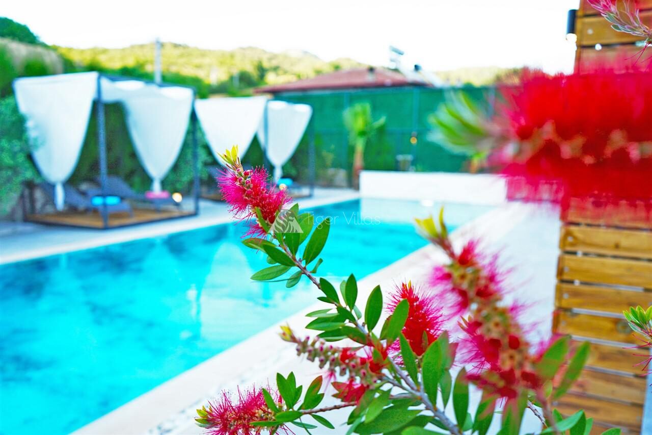 Villa Mamon Luxury Life — 13