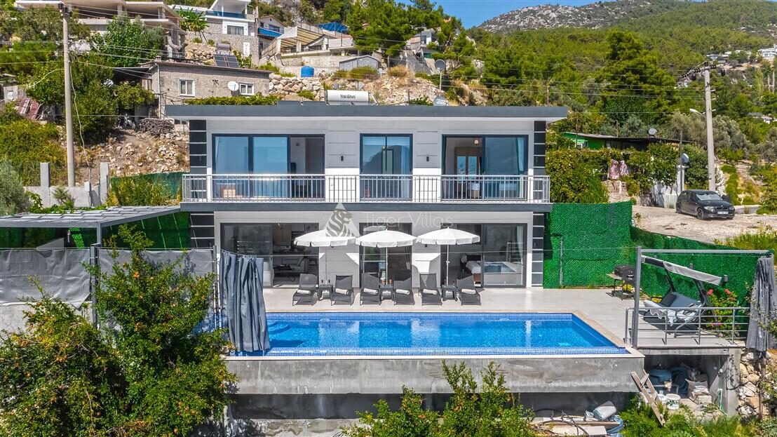 Villa Davidof — 11