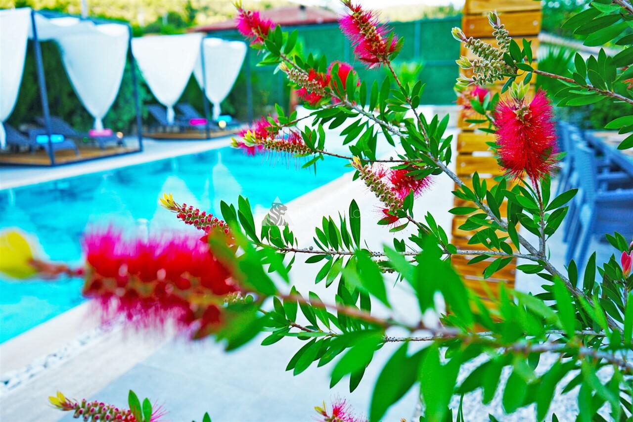 Villa Mamon Luxury Life — 32