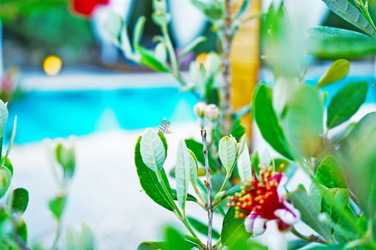 Villa Mamon Luxury Life — 164